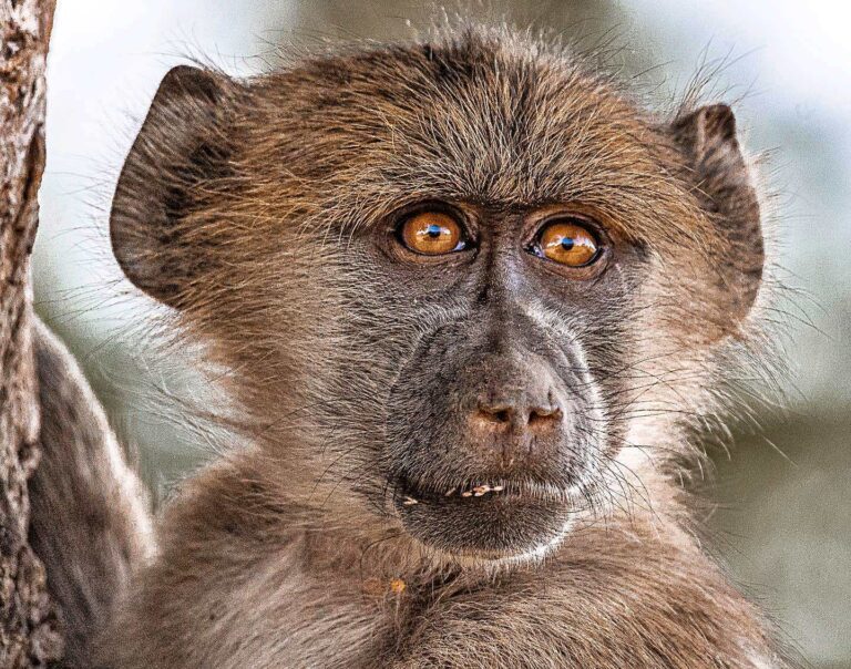 #exploringkruger