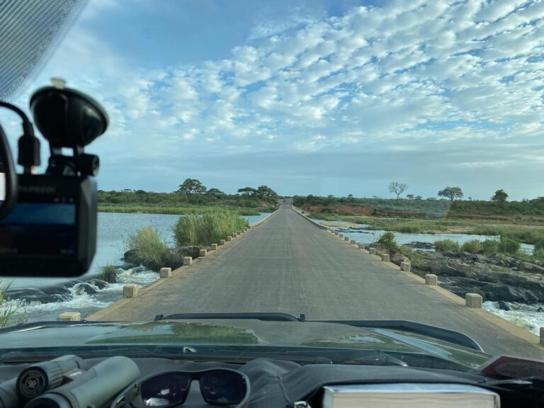 #exploringkruger