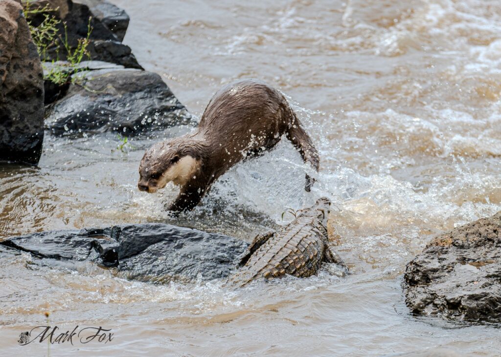 #exploringkruger