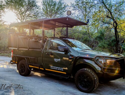 #exploringkruger