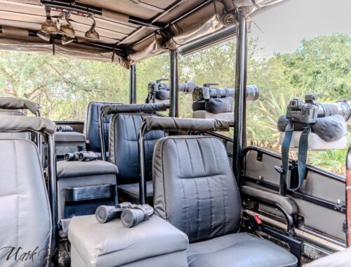 #exploringkruger