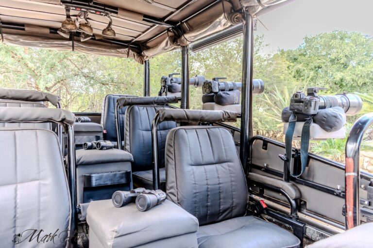 #exploringkruger