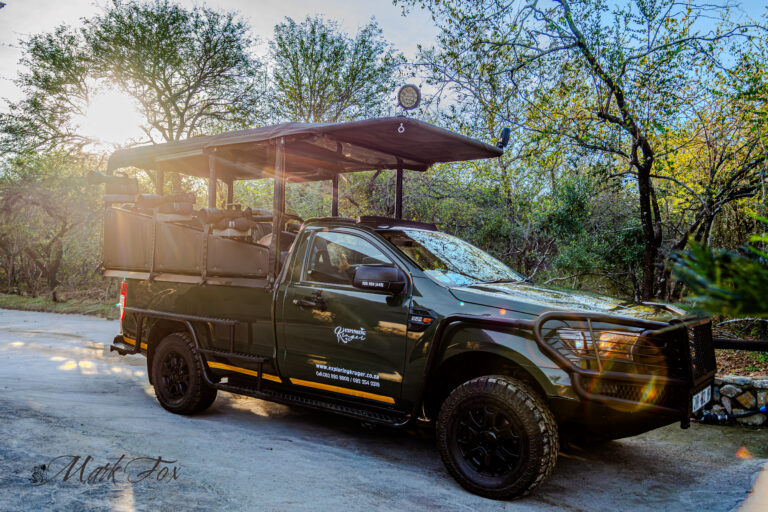 exploring kruger